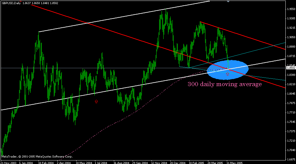 gbp daily 16052005.gif